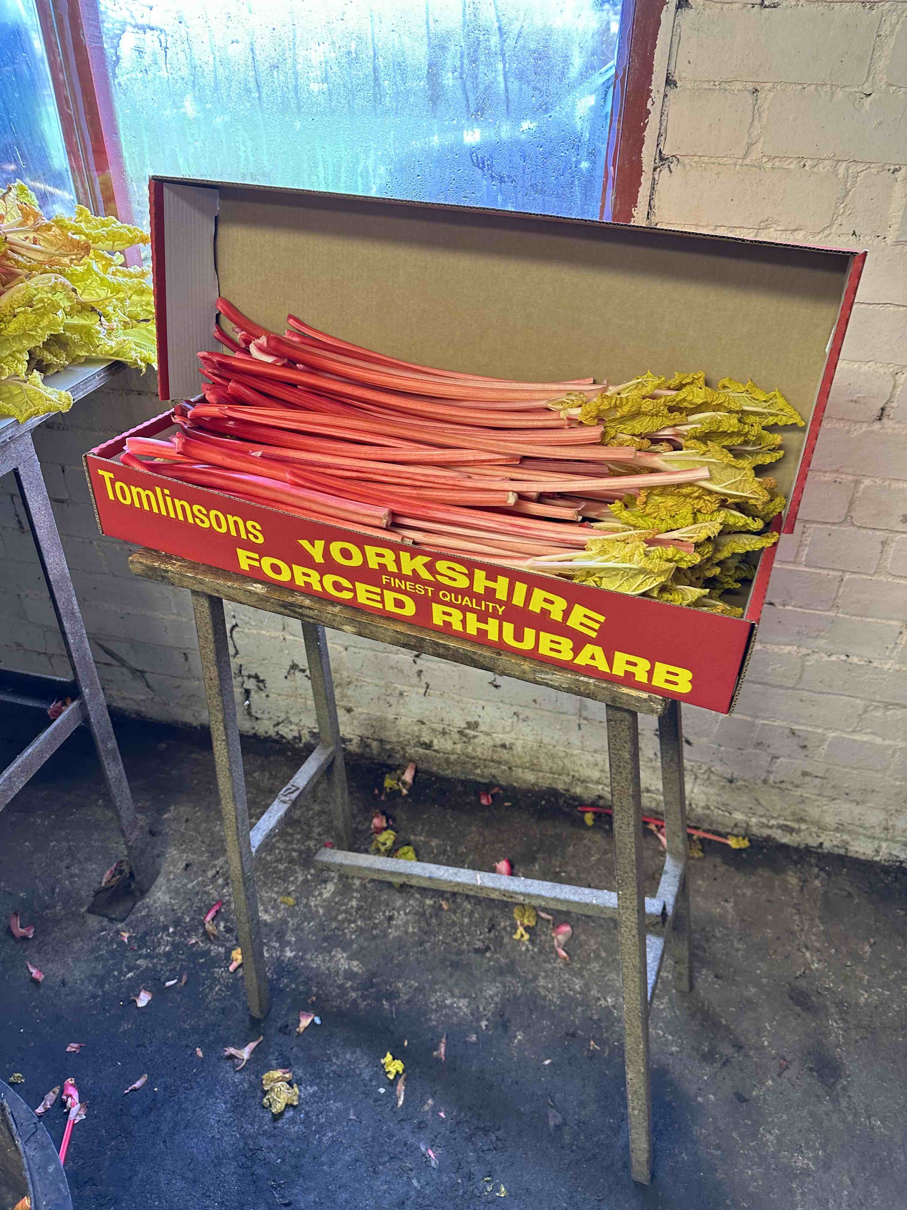 Limited Edition Harbinger Rhubarb Preserve