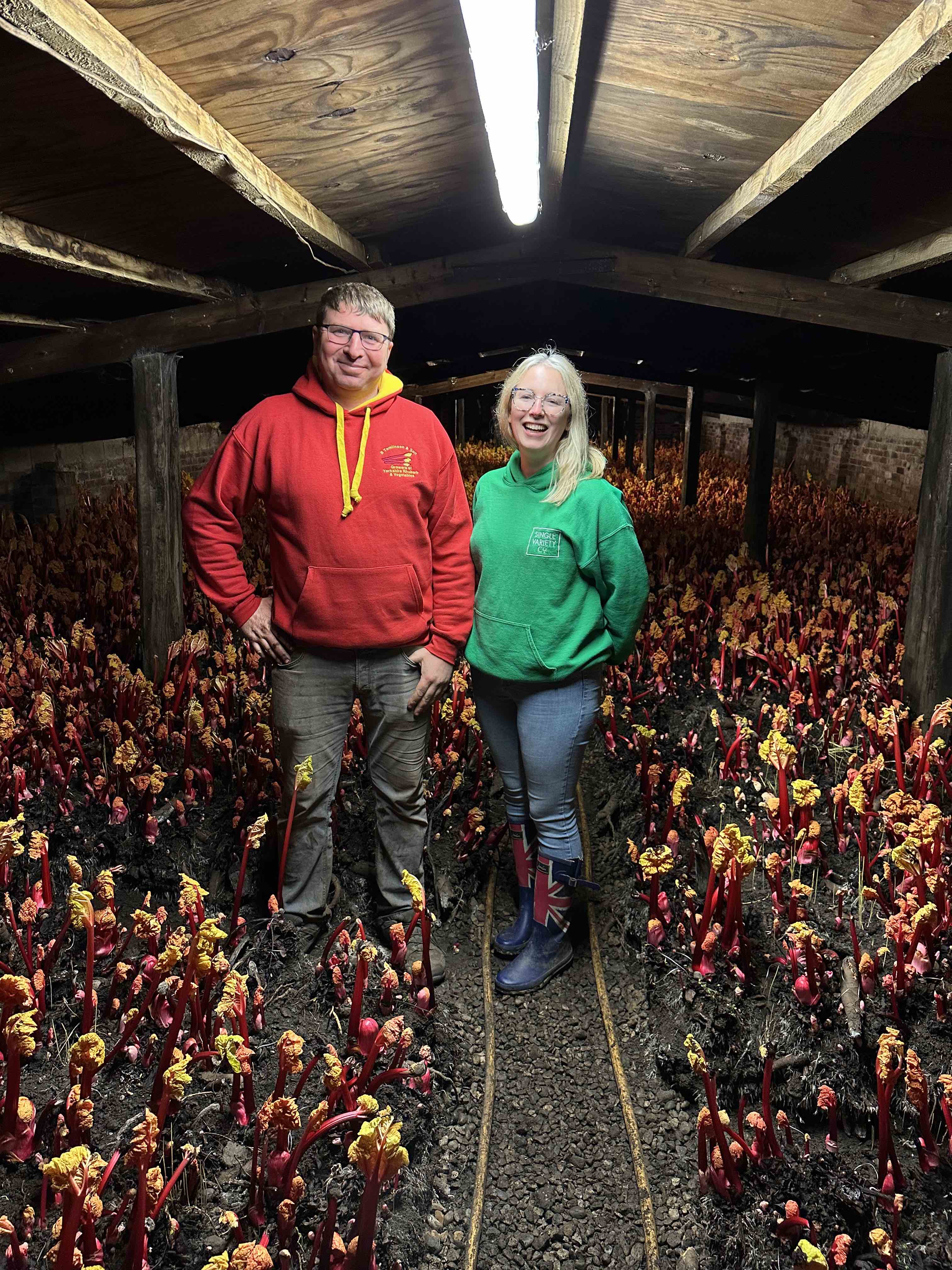 Limited Edition Harbinger Rhubarb Preserve