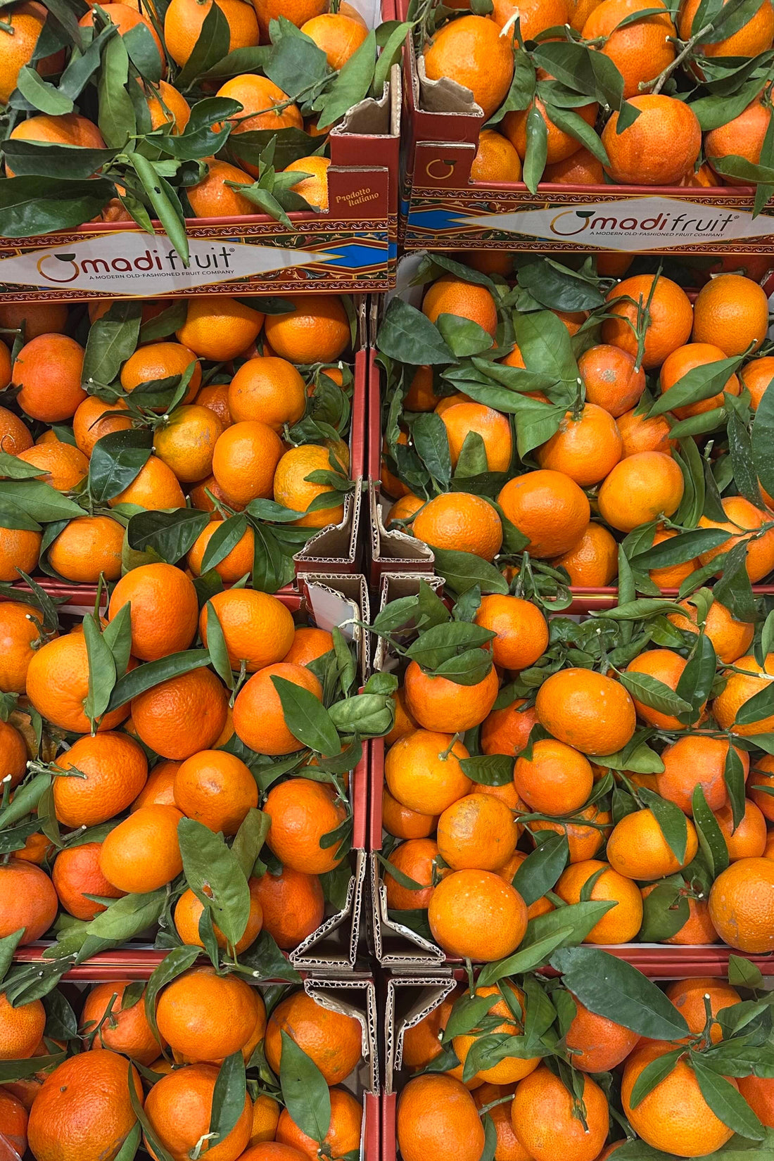 Tacle Mandarin Marmalade