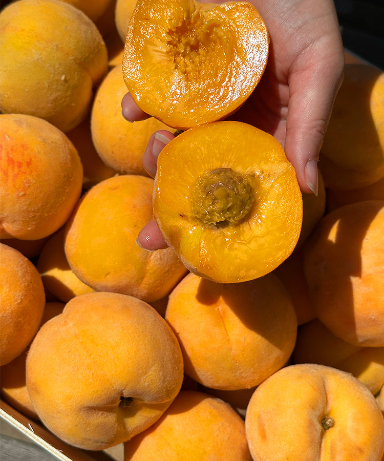 Limited Edition Amarillo Peach Preserve