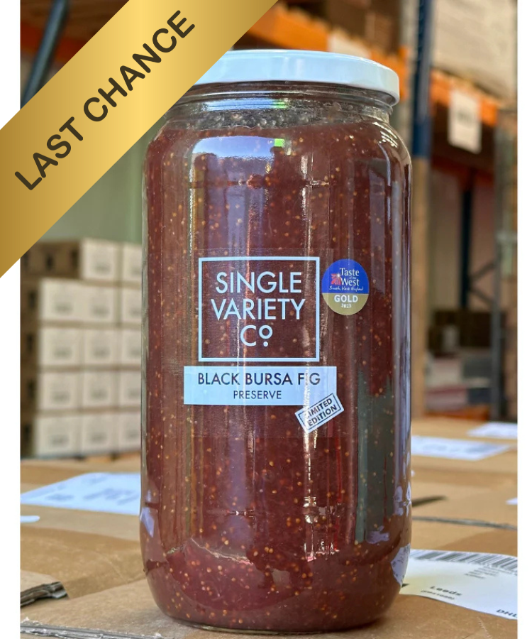 Giant Black Bursa Fig Preserve