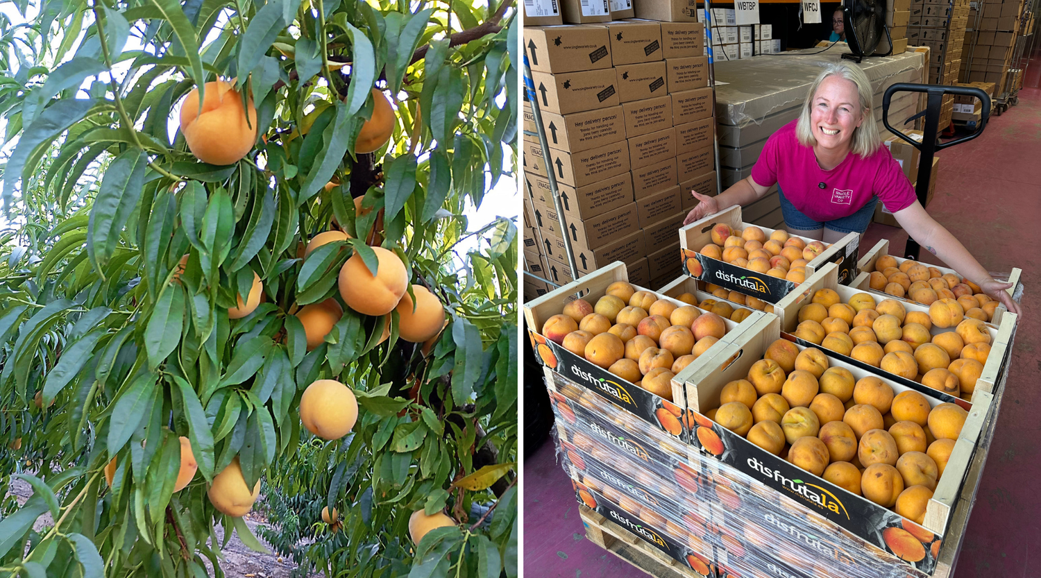 Amarillo Peach Preserve: Our New Collaboration with Natoora