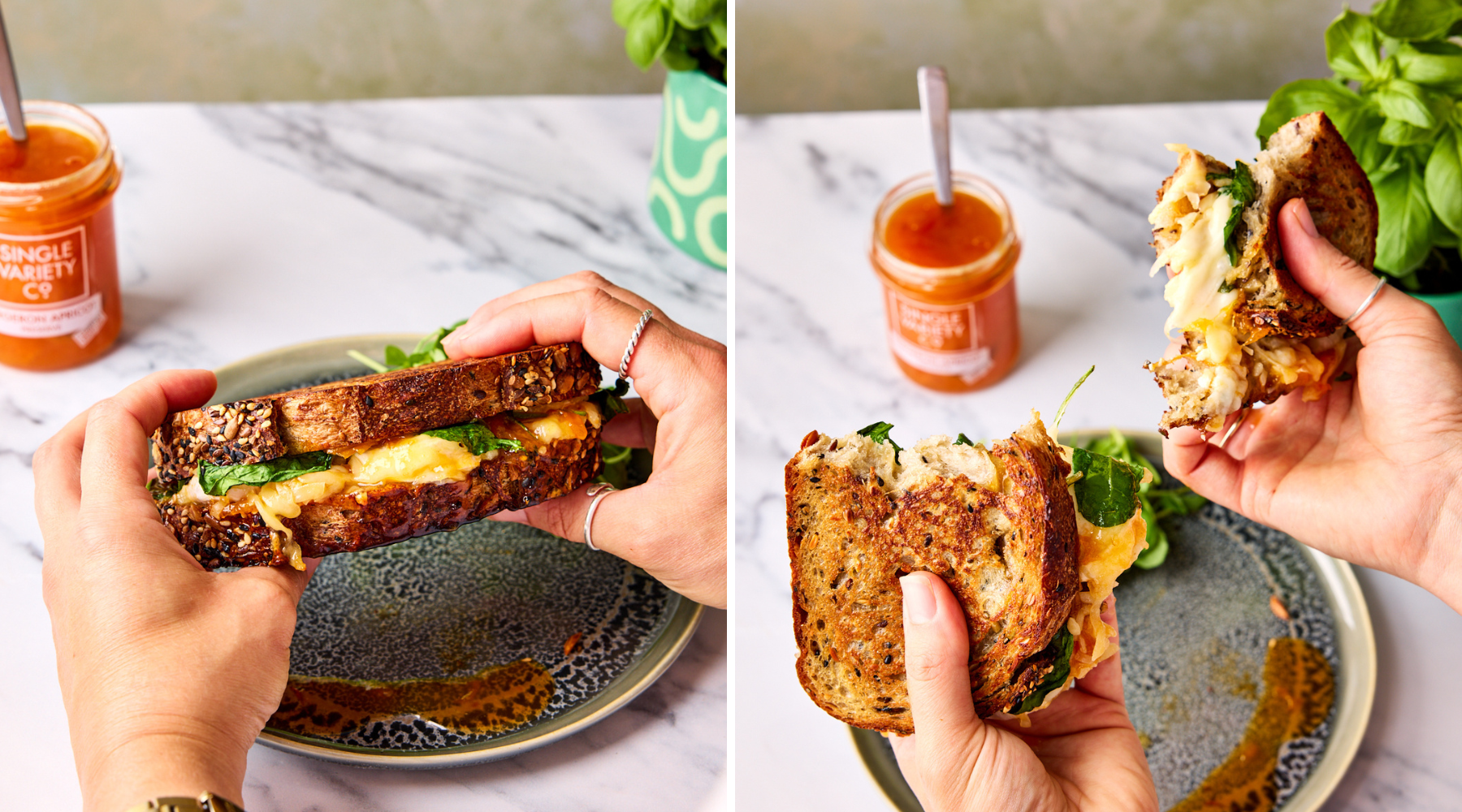 Goats Cheese & Spinach Toastie with Bergeron Apricot Preserve