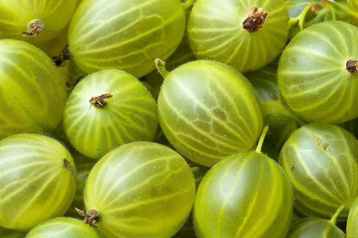 Why Do Green Gooseberries Turn Red When You Make Jam?