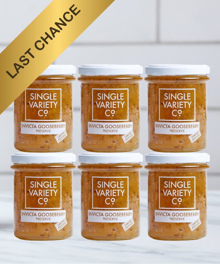 Invicta Gooseberry Preserve Bundle- save 10%