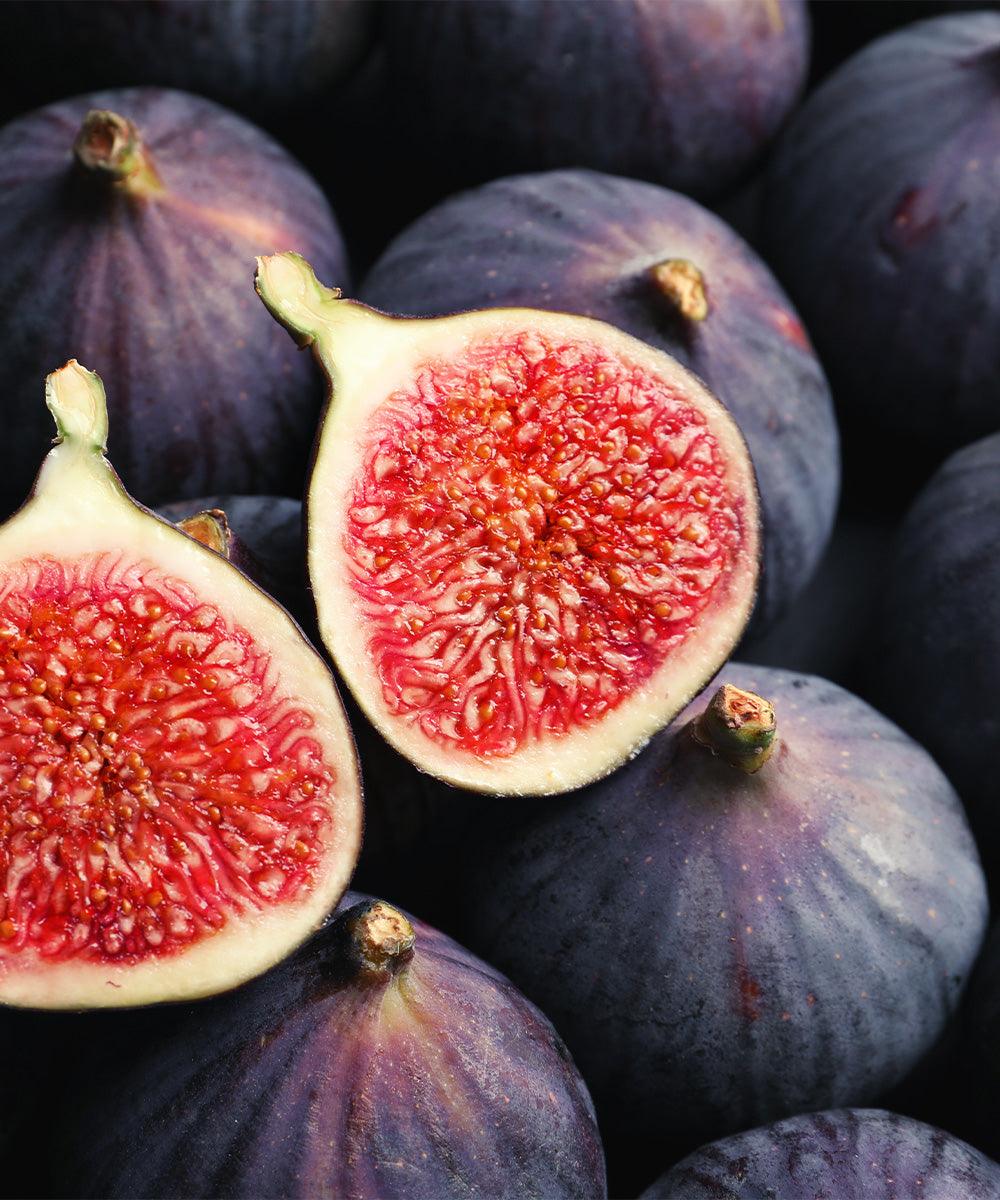 Limited Edition Black Bursa Fig Preserve - Single Variety Co