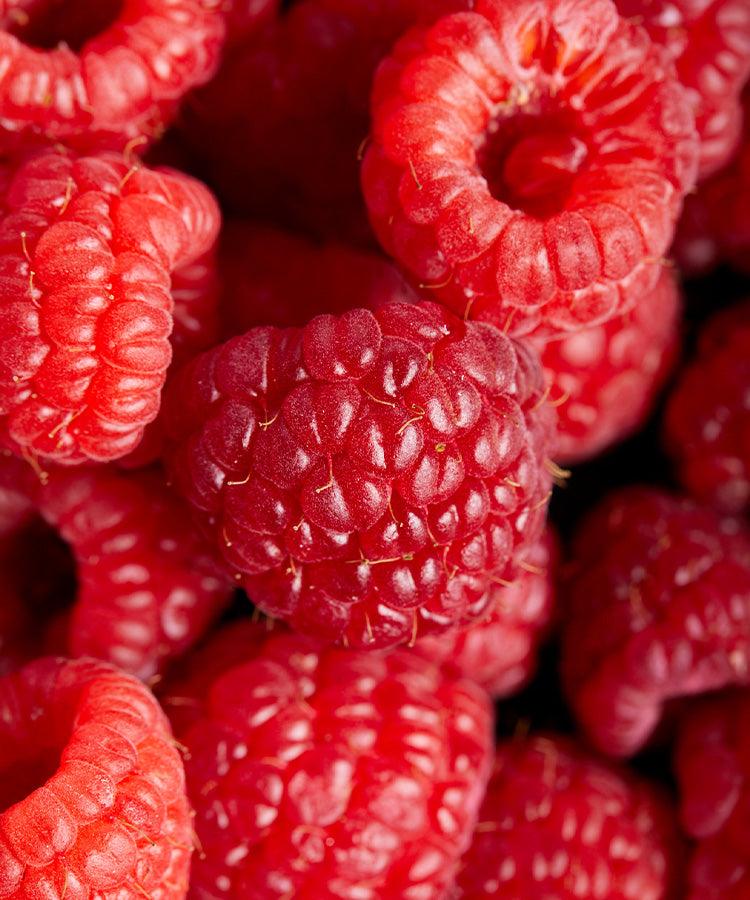 Giant Maravilla Raspberry Preserve - Single Variety Co