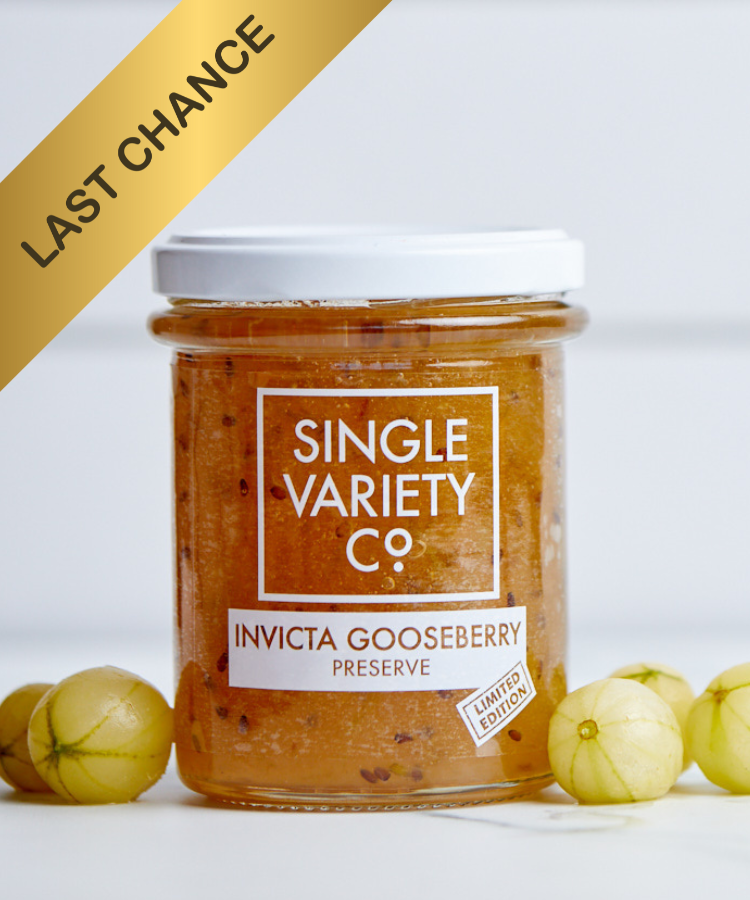 Limited Edition Invicta Gooseberry Preserve