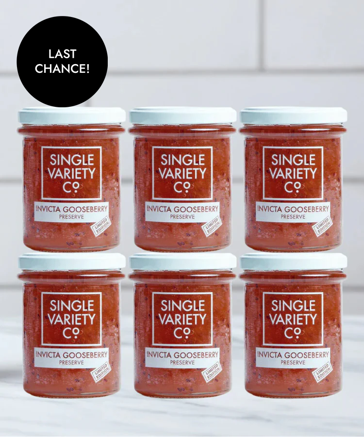 Invicta Gooseberry Preserve Bundle- save 10%