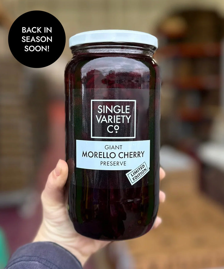 Giant Morello Cherry Preserve