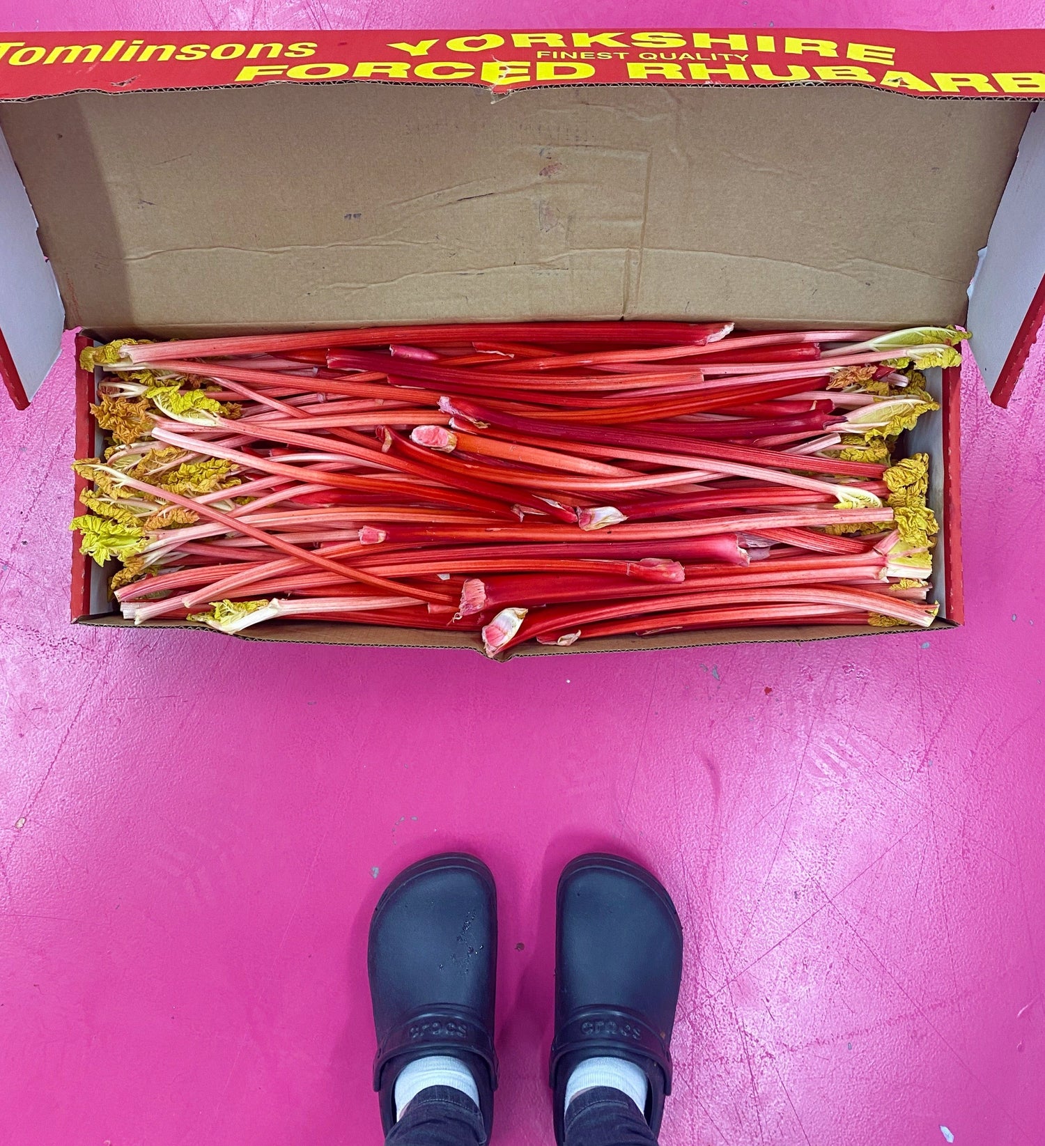 Giant Harbinger Rhubarb Preserve