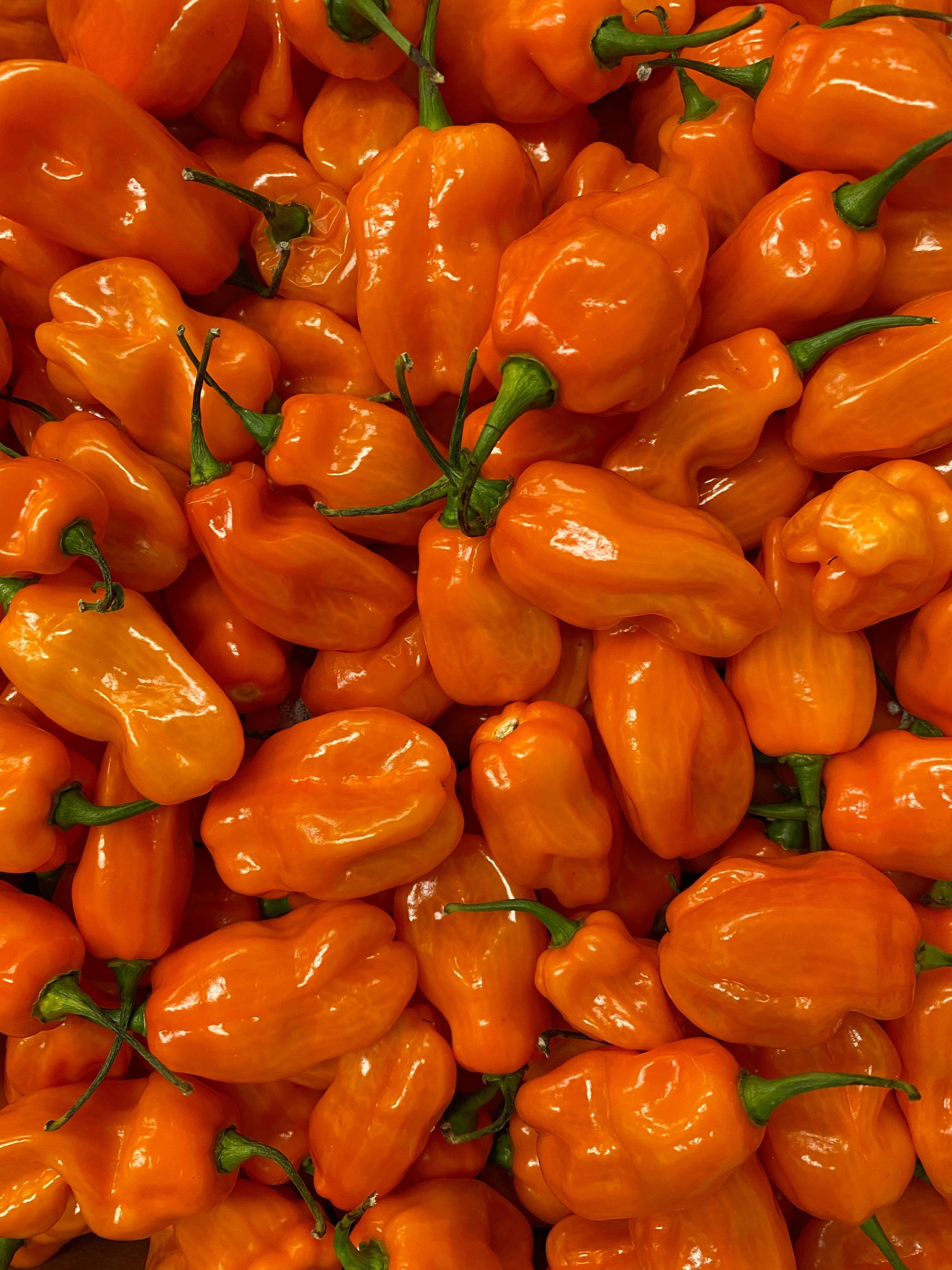 Limited Edition Orange Habanero Chilli Jam- Super Hot - Single Variety Co